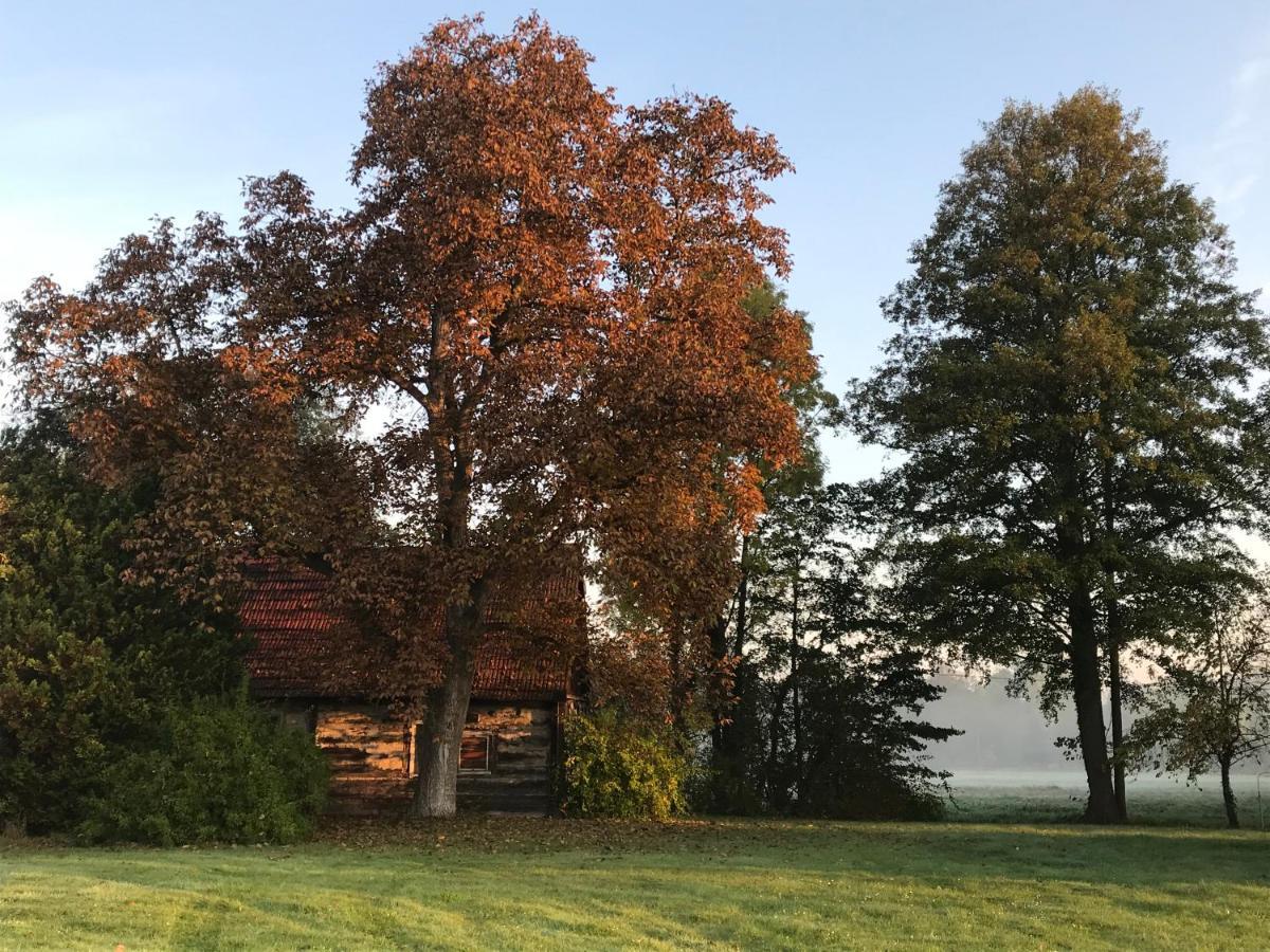 Spreewald Ferienwohnung Am Fliess Mit Viel Platz Kolonie  Exteriér fotografie