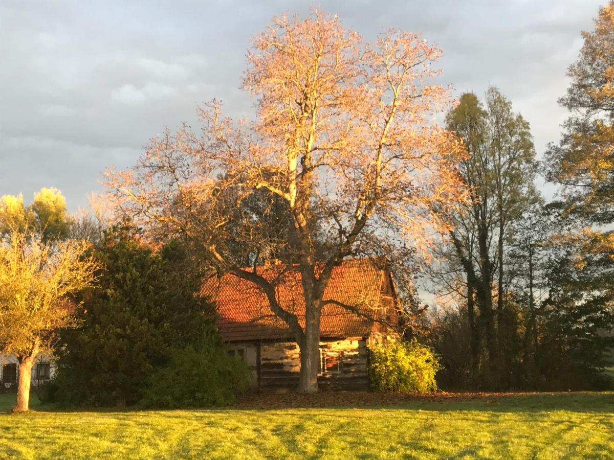 Spreewald Ferienwohnung Am Fliess Mit Viel Platz Kolonie  Exteriér fotografie