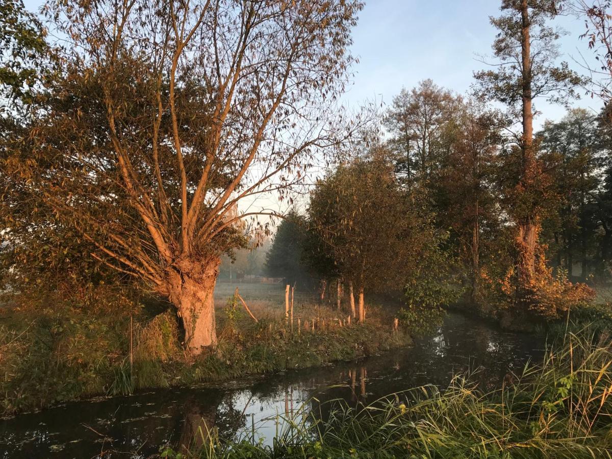 Spreewald Ferienwohnung Am Fliess Mit Viel Platz Kolonie  Exteriér fotografie